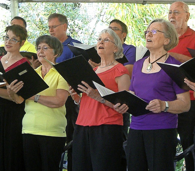 Die Sommer-Matinee im Vacono-Dome ist ...ammerchors noch in bester Erinnerung.   | Foto: Roswitha Frey