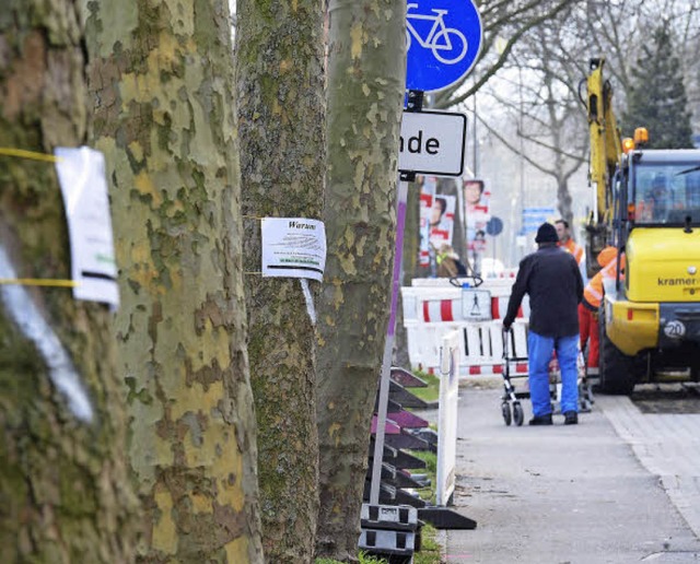 Mehr als jede dritte der in einem Absc...e Berg-und-Tal-Bahn gemacht (rechts).   | Foto: Ingo Schneider