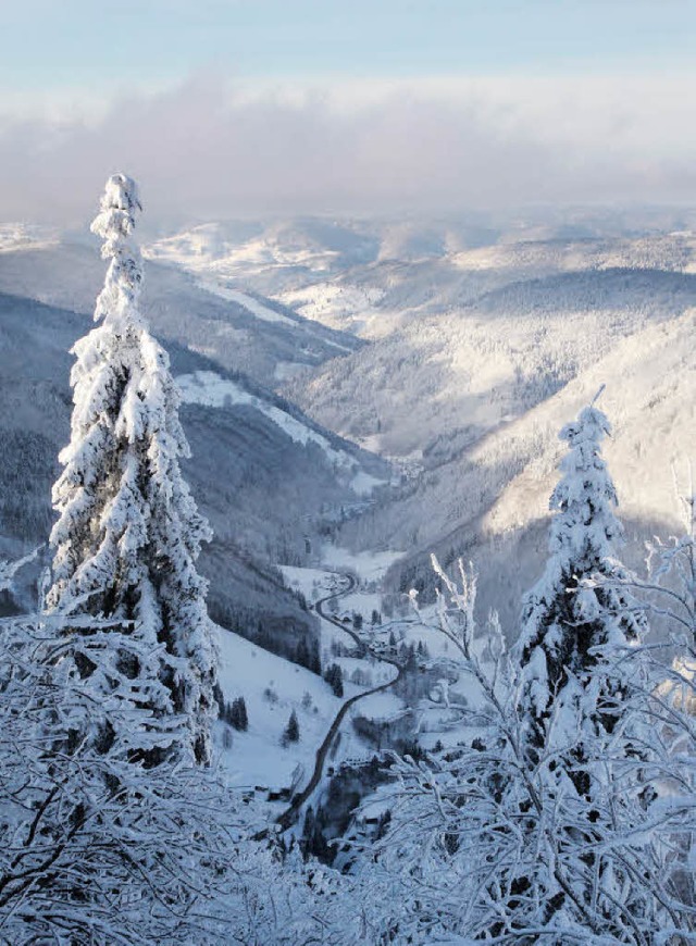 Blick vom Feldberg in Richtung  Todtna...uen Biosphrengebiets Sdschwarzwald.   | Foto: Max Schuler