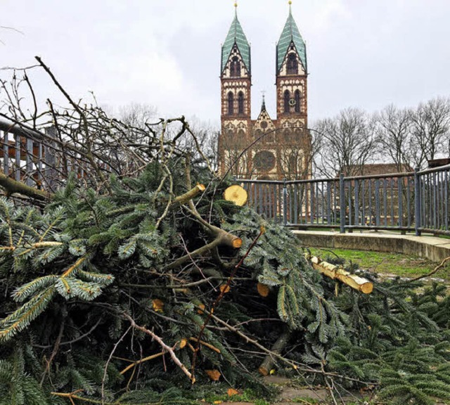 <BZ-FotoAnlauf>der rest vom fest:</BZ-FotoAnlauf> alle Jahre wieder  | Foto: sh