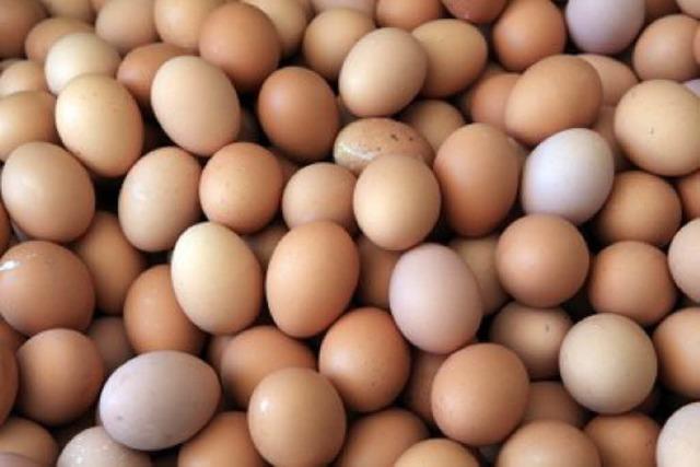 Merkwrdiges Eigentumsdelikt: 56-Jhriger stielt ber Monate hinweg hunderte Eier von Geflgelhof in Hartheim