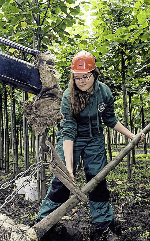 Baumschulgrtner haben ein breites Ttigkeitsspektrum.  | Foto: BdB