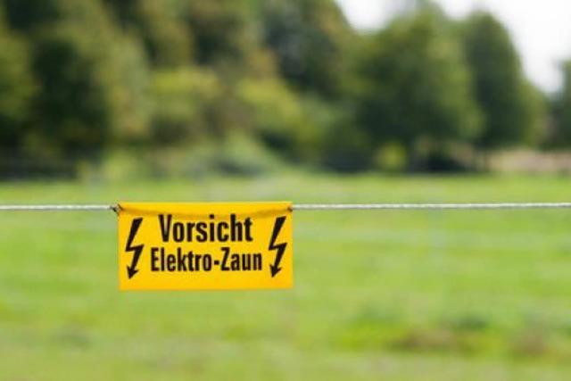 Merkwrdiges Eigentumsdelikt: Weidezaungert in Eisenbach entwendet
