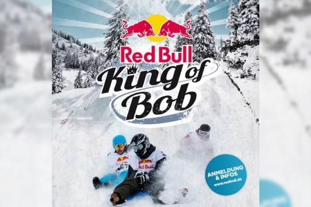 Zipflbob-Contest King of Bob auf dem Feldberg
