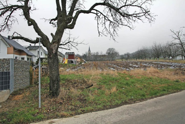 Ein neues Wohngebiet &#8222;Holzweg II...5 Baupltze fr junge Familien bieten.  | Foto: Sabine Model