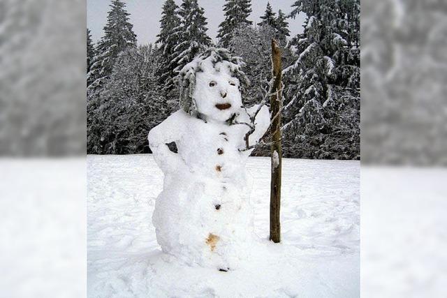 Schneemann bei Hofsgrund