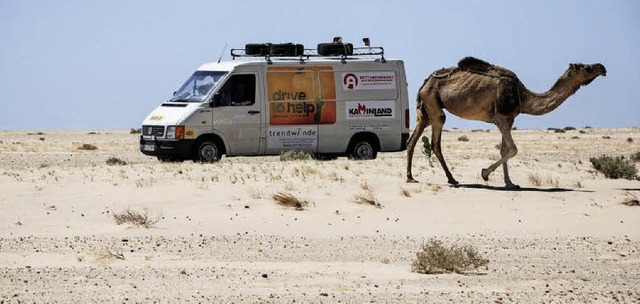 Wste-Begegnung in der Sahara: Drive t...s, hat hier also vermutlich Vorfahrt.   | Foto: privat