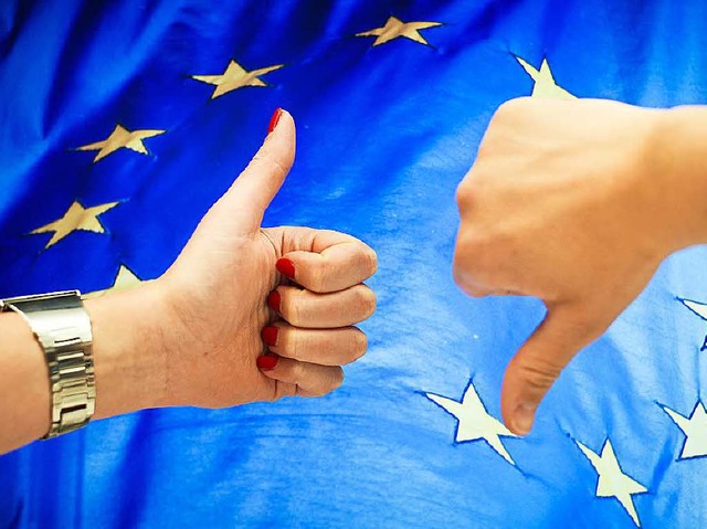Hop oder Top, fr oder gegen Europa? B...ines der wichtigsten Lnder in der EU?  | Foto: dpa