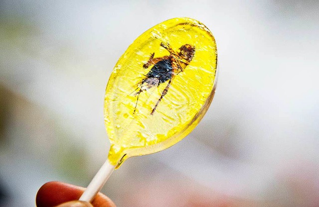 &#8230; und ein Insekten-Lolli zum Dessert?  | Foto: dpa