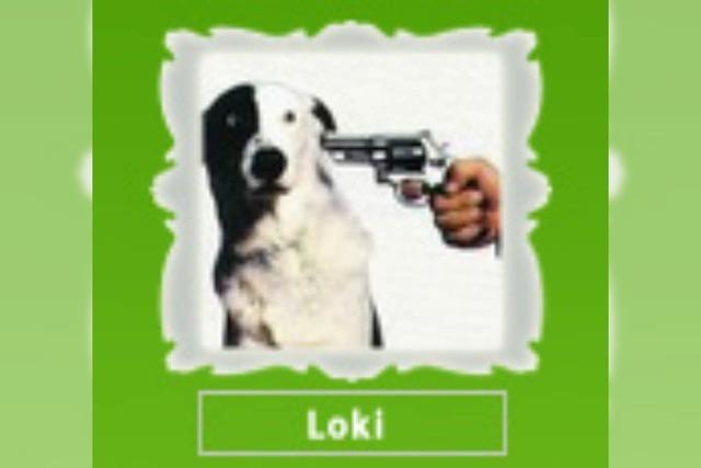 Kommentar der Woche: Loki