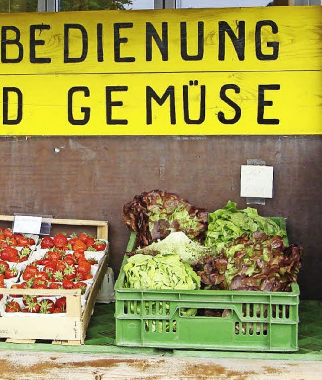 Das Thema Gemsebau steht im Mittelpunkt der Informationen.   | Foto: vl