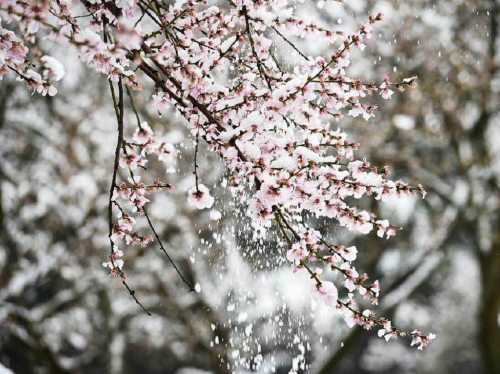 Winterimpressionen aus Freiburg