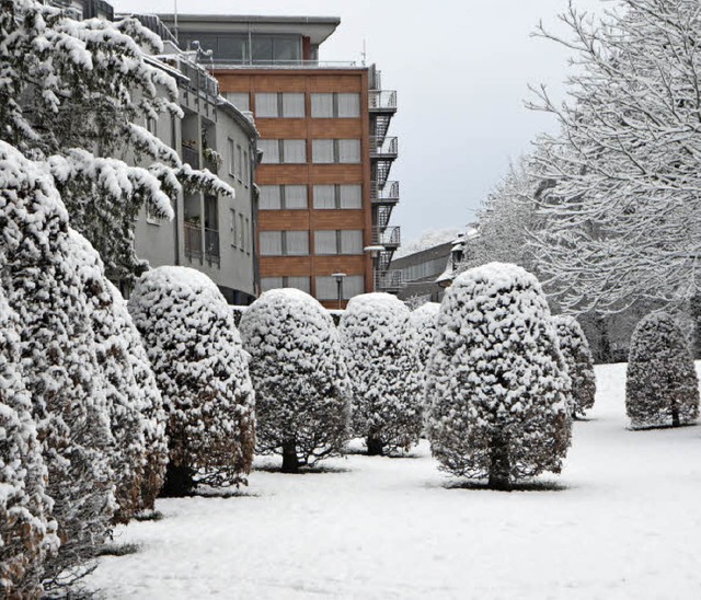 So prsentierte sich die Buchen-Allee ...eim ersten Schneefall am 17. Januar...  | Foto: Gerhard Walser