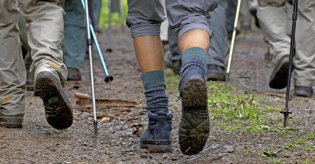 Bei vielen Wanderfreunden sind die gef...ouren des Schwarzwaldvereins beliebt.   | Foto: dpa