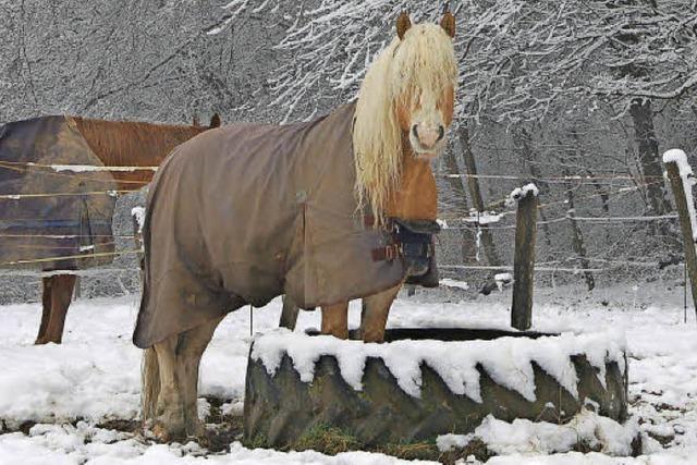 Es gibt kein schlechtes Wetter!