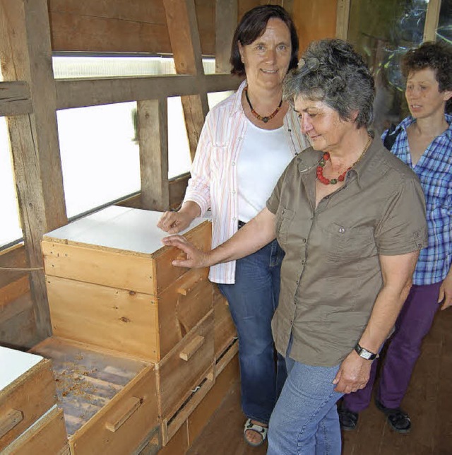 ber   Bienenzucht informierten sich d...Barbara Berger-Marterer in Adelsberg.   | Foto: Berger