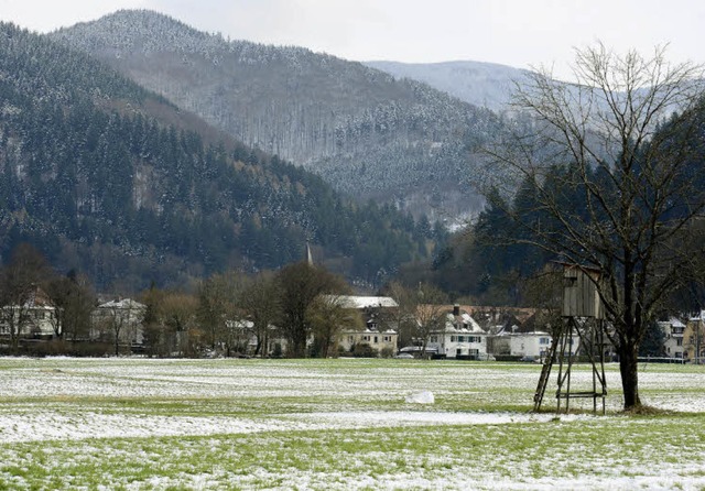 In sattem Grn prsentieren sich die G... mit  strahlend weien Einsprengseln.   | Foto: Ingo Schneider