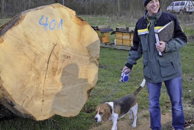 Holz aus der Ortenau ist gefragt