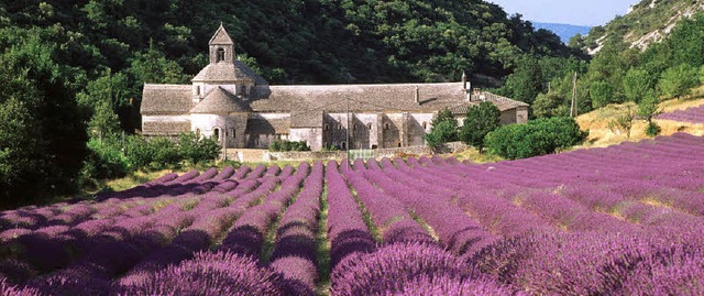 Lavendel vor dem Zisterzienserkloster Senanque   | Foto: schulte-kellinghaus