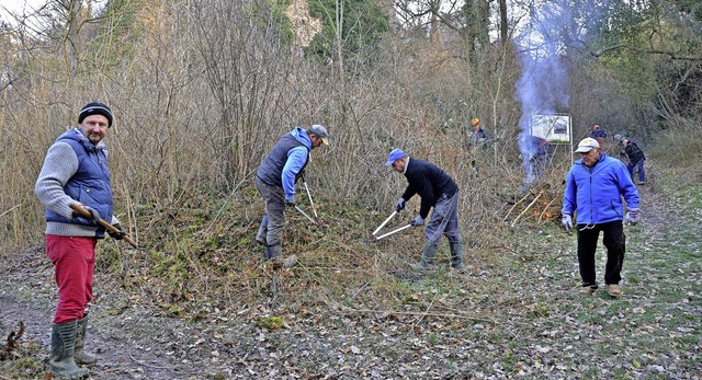 Sasbach. Arbeitseinsatz am Limberg.  | Foto: Roland Vitt