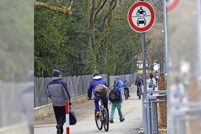 Fahrradstrae am Rosenfelspark soll saniert werden