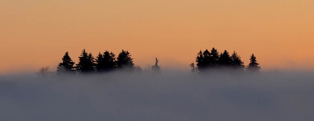 Schwarzwald, Lffingen, Nebel  | Foto: Philippe Thines