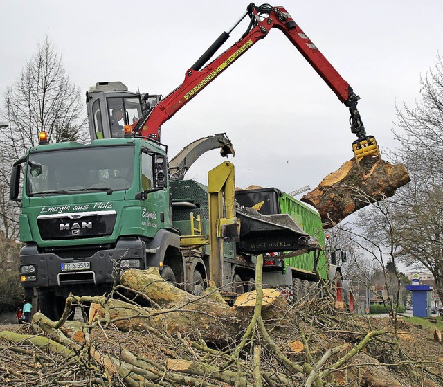 Der Riesenhcksler schreckte  vor kein...e, dauerte die nnu wenige Augenblicke.  | Foto: Rolf Reimann