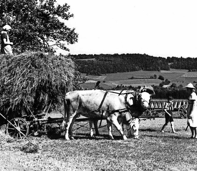 Bilder aus der guten alten Zeit...  | Foto: Privat