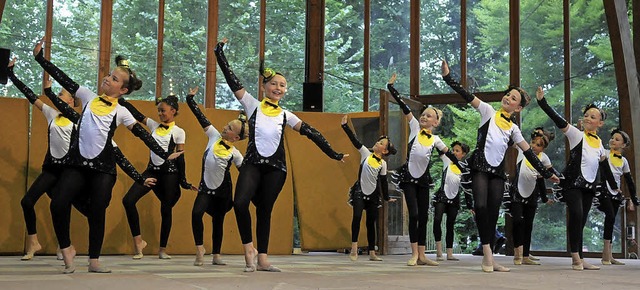 Die Reise der Pinguine der Gruppe Aquarell konnte man im Stadtpark erleben.     | Foto: Archivfoto: wolfgang knstle