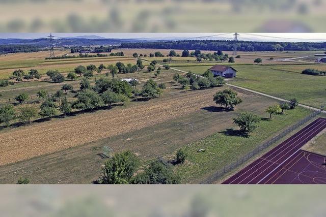 Auf einem Feld bei Rust soll eine Containersiedlung fr 88 Flchtlinge entstehen