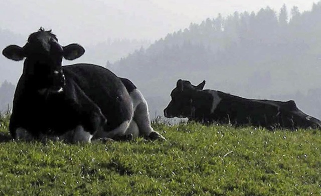 Welche Zukunft hat die Hhenlandwirtschaft?   | Foto: BZ-Archiv