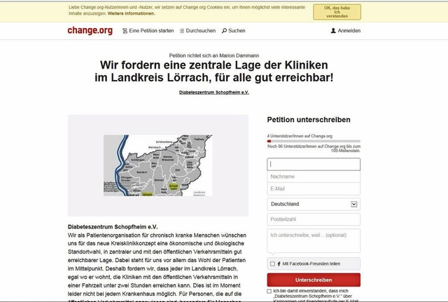 So sieht das Abstimmungsformular im Internet aus.   | Foto: Screenshot: BZ