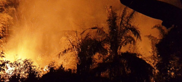 Schreck in der Abendstunde: Nach einer...nichts, das Feuer ging von allein aus.  | Foto: Privat