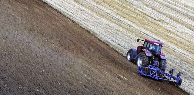 Ein Bauer pflgt seinen Acker.    | Foto: dpa