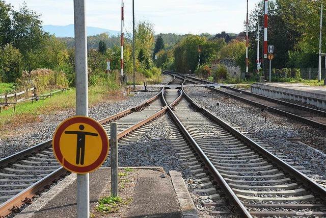 Lokfhrer verhindert S-Bahn-Unglck in letzter Sekunde