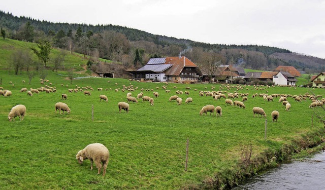   | Foto: Wilhelm Billharz