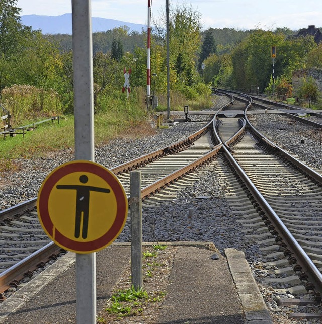 Die Weiche zwischen Gleis 3 (links) un...nheimer Bahnhof  war falsch gestellt.   | Foto: frietsch