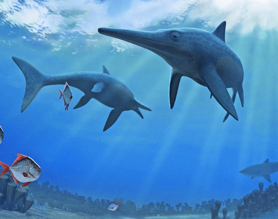 Am Tod der Fischsaurier schuld? Panorama Badische Zeitung