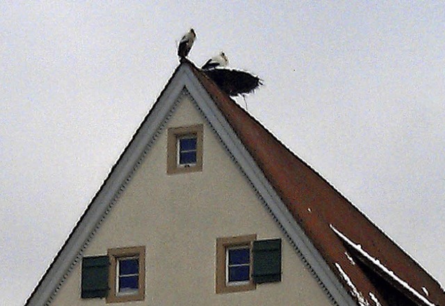 Ein Storchenpaar hat das Nest auf der Frickmhle bezogen.   | Foto: U. Quast