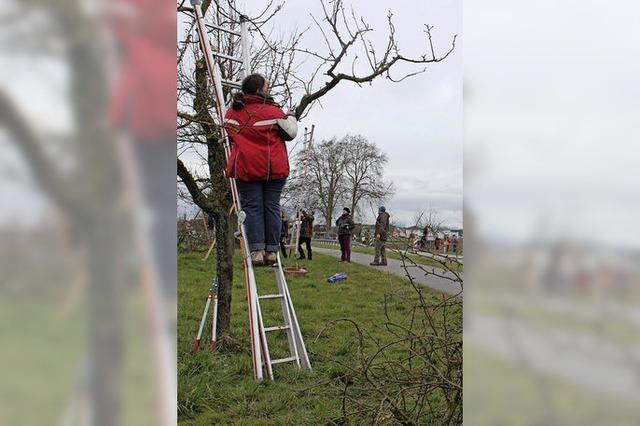 Teilnehmerrekord beim Landschaftspflegetag