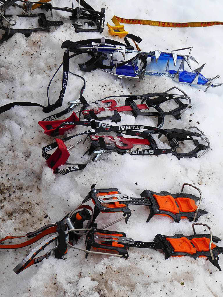 8500 Zuschauer haben am Samstag beim Weltcupskispringen in Neustadt den Sieg des Norwegers Johann Andre Forfang erlebt. Severin Freund wurde Fnfter, Andreas Wank aus Titisee Zehnter.