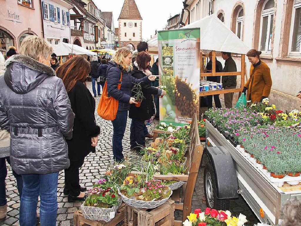 Blhendes Endingen und Antikmarkt