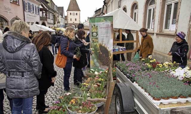 Blhendes Endingen und Antikmarkt  | Foto: Ilona Huege