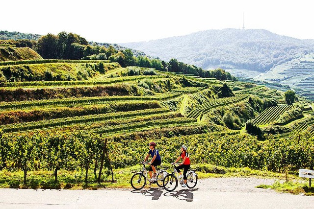 Auch bei Radlern ist der Kaiserstuhl beliebt.  | Foto: Naturgarten Kaiserstuhl GmbH