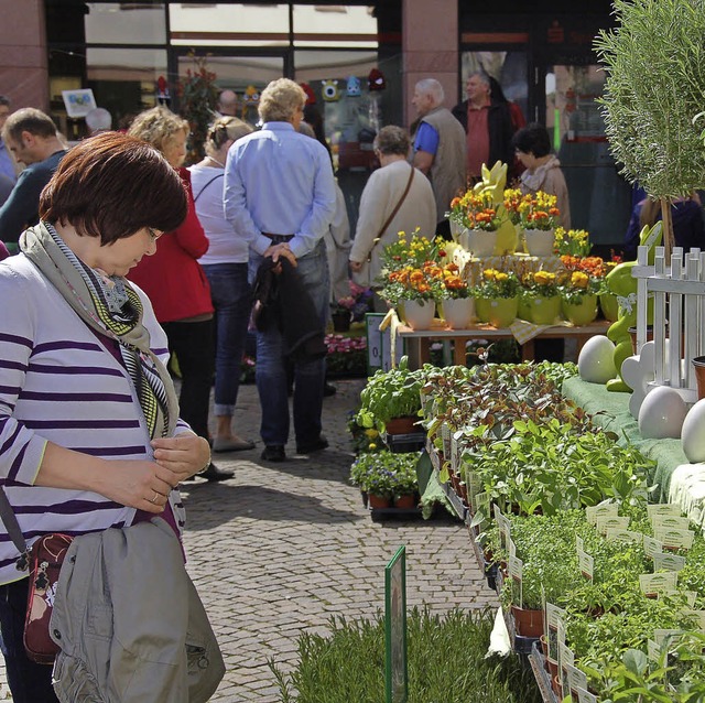 Frhlingsboten gibt es am kommenden So...em Sonne-Platz Fahrrder feilgeboten.   | Foto: Andrea Steinhart