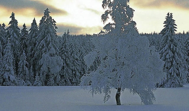 Ob Winter oder Sommer: Die Ortenau  is...en Jahreszeiten eine beliebte Region.   | Foto: Naturschutzzentrum