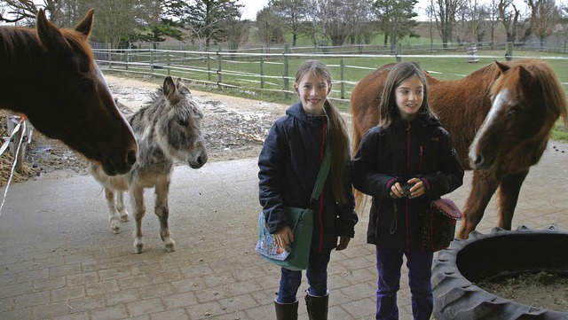 Die Zisch-Reporterinnen auf dem Gnadenhof des Tierheims  mit Pferden und Eseln    | Foto: Monika Mllinger / Privat