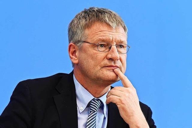 Jörg Meuthen zum Chef der AfD-Fraktion gewählt