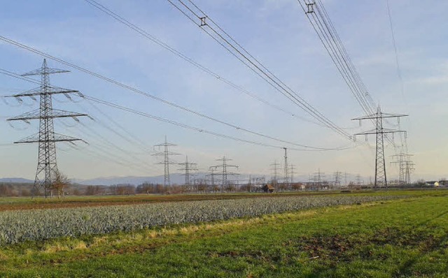 Zwei  Stromtrassen verbinden  derzeit ...spannwerke Daxlanden und Eichstetten.   | Foto: GUSTAV RINKLIN