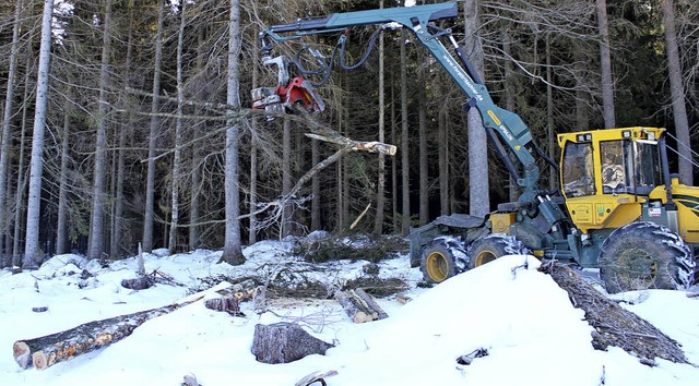 Letzte Rodung fr das Wohnbaugebiet Neuwelt hat begonnen.  | Foto: Joachim Frommherz